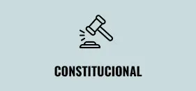 ciclo-electoral-derecho-constitucional